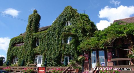 Postcard Crown Inn, Hopton Wafers, Salop