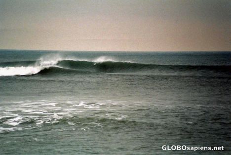 Postcard Paddle,N,Go!!
