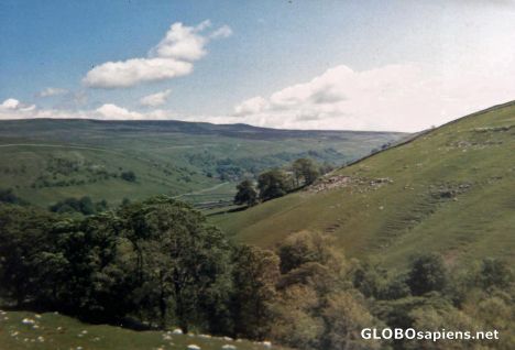 Postcard Sunny Weather in the Hills!!!