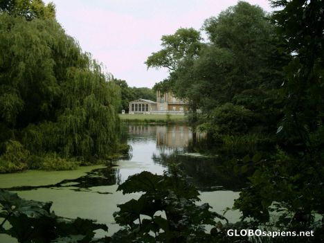 Postcard The Gardens of Buckingham Palace