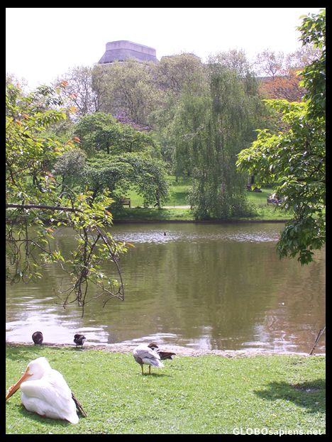 Postcard St James Park, London, UK