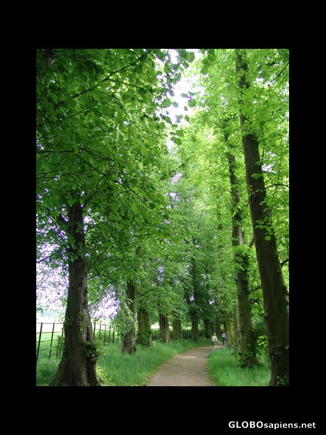 Postcard Leafy walk to Calke Abbey Church