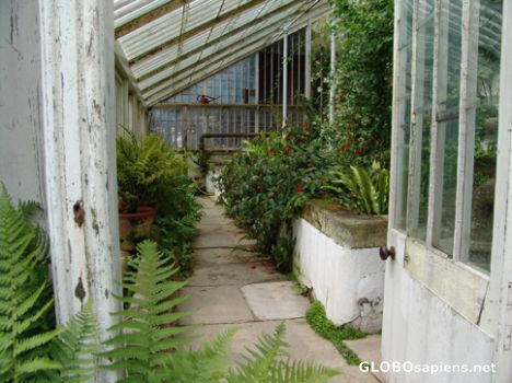Postcard Hot House at Calke Abbey Walled Garden, England