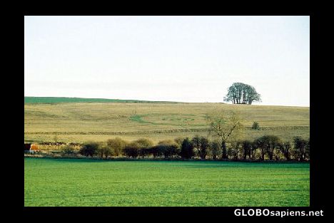 Postcard Crop circle
