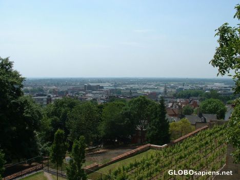 Postcard Lincoln Panorama