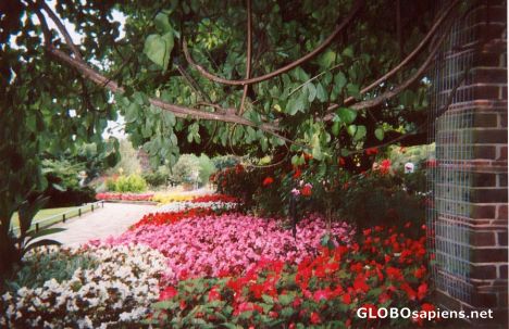 Postcard Golders Green, England