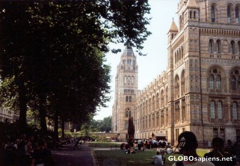 Postcard Natural History Museum