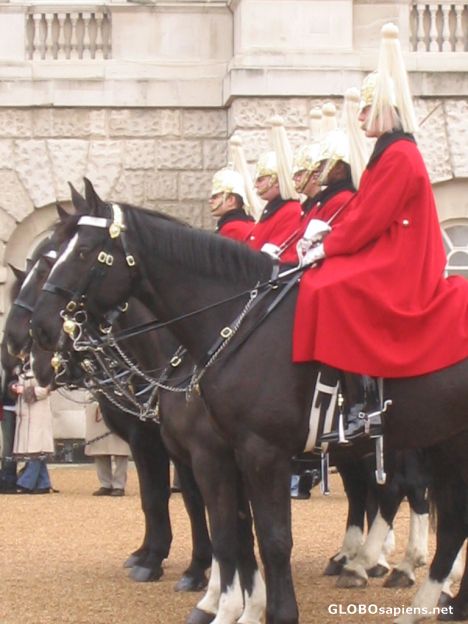 Postcard Horse Guard