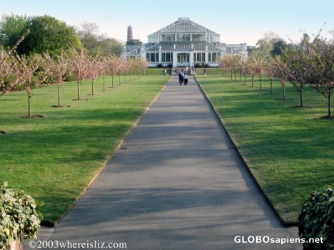 Postcard Spring, Kew Royal Botanic Gardens