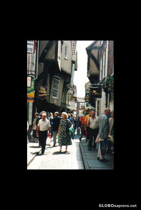 Postcard The Shambles