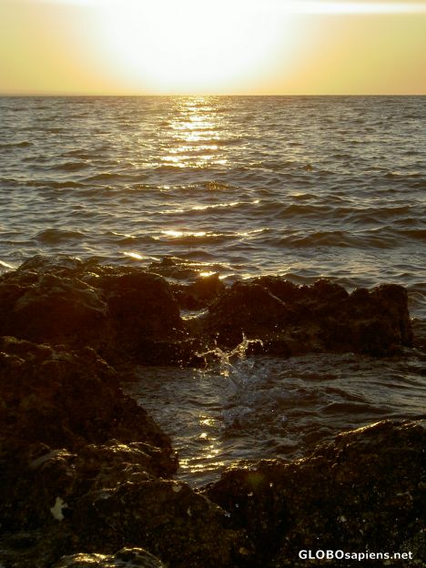 Postcard Chernomoskoe(West part of Crimea)