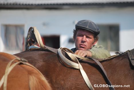 Postcard The horse man