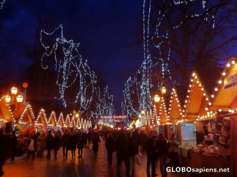 Postcard Lwów (UA) - Christmas Market at Prospekt Svobody