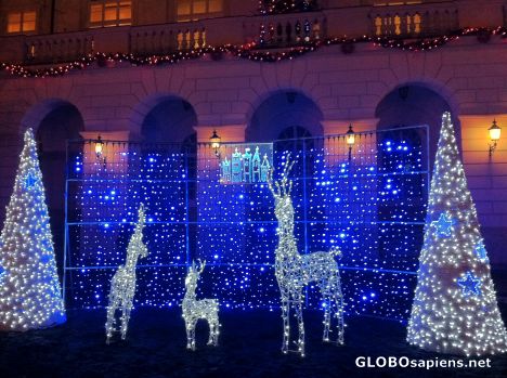 Postcard Lwów (UA) - Christmas decoration at the Townhall
