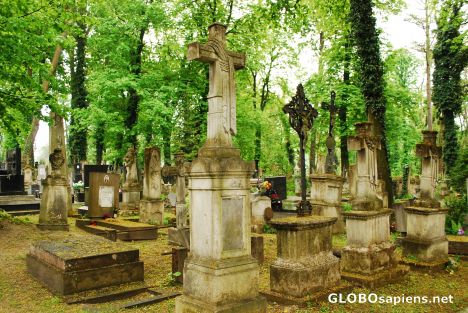 Postcard Lychakivske (Luczakowski) Cemetery