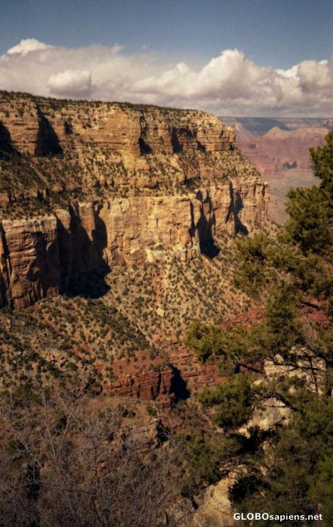 Postcard The South Rim