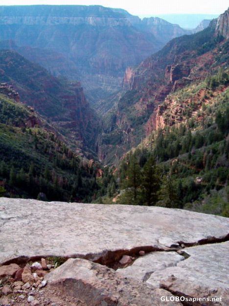 Postcard Coconino Overlook