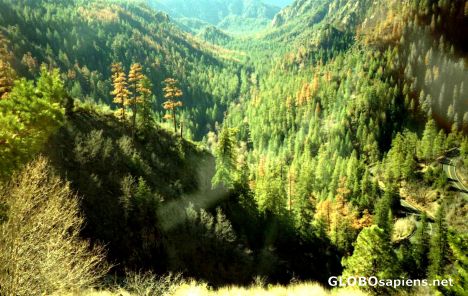 Postcard Oak Creek Canyon
