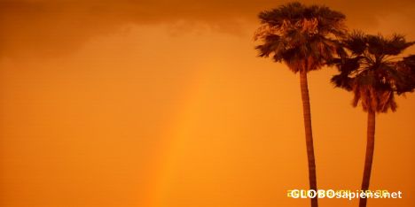Postcard Arizona Sunset