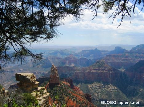 Postcard Other Side of the Grand Canyon