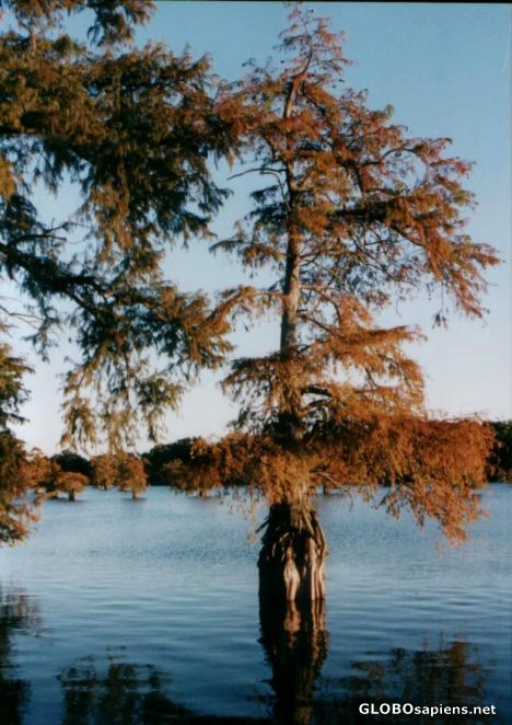 Postcard Old Town Lake, Arkansas.