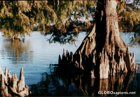 Postcard Old Town Lake 2