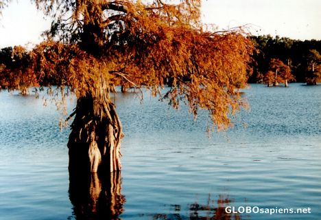 Postcard Old Town Lake, Arkansas.