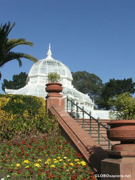 Postcard Conservatory of Flowers