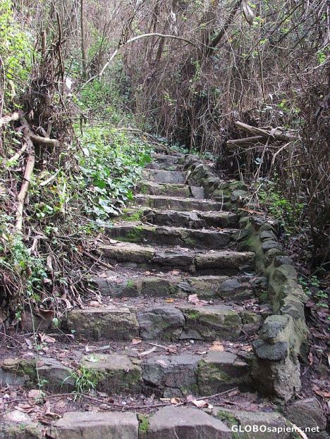 Postcard Steps to nowhere