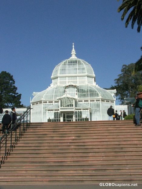 Postcard Conservatory of Flowers