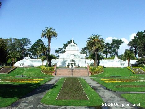 Postcard Conservatory of Flowers