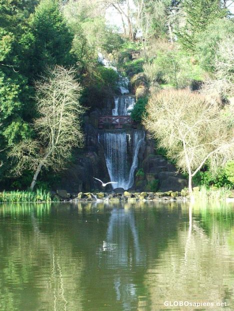Postcard Stow Lake flow