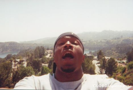 Postcard Lost in the Hollywood Hills