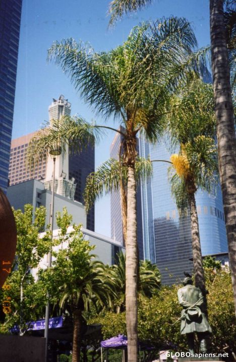 Postcard Downtown LA