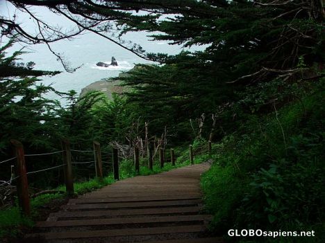 Postcard Steps to the sea