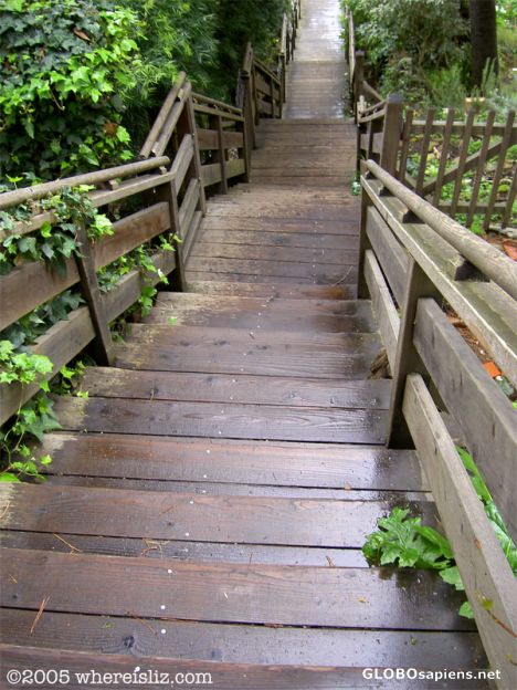 Postcard Filbert Stairs to Coit Tower, San Francisco USA