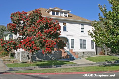 Postcard San Luis Obispo - California