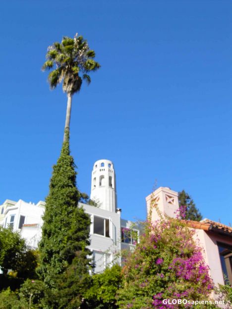 Postcard Coit Tower