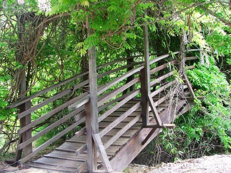Postcard Wooden bridge