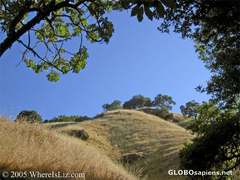 Postcard Golden Hills, Fairfax, California