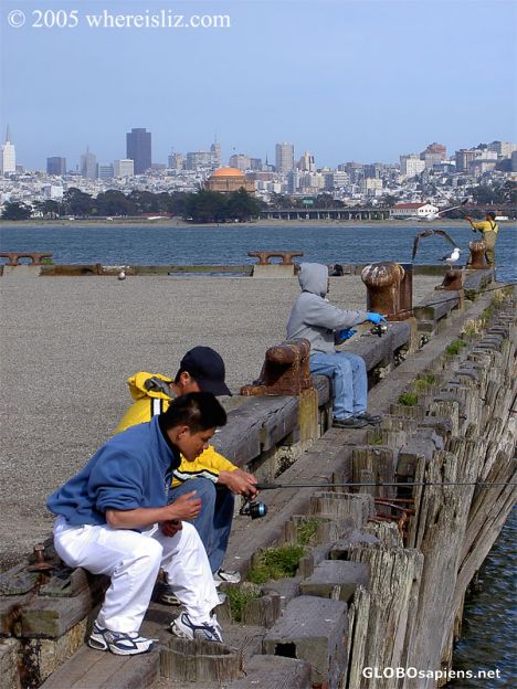 Postcard Crissy Field Pier, San Francisco