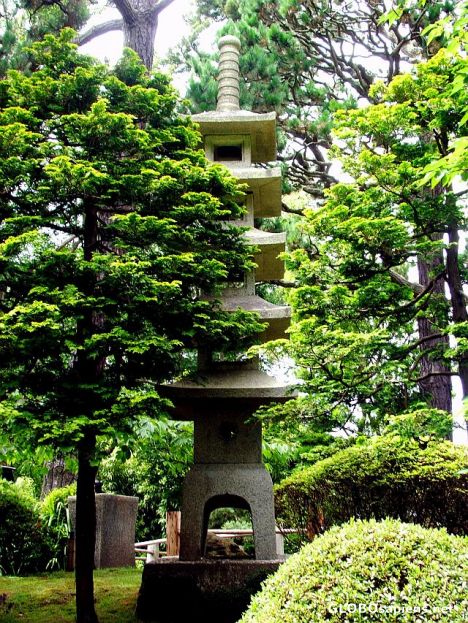 Postcard The lantern