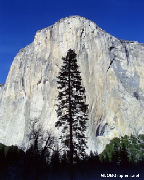 Postcard El Capitan