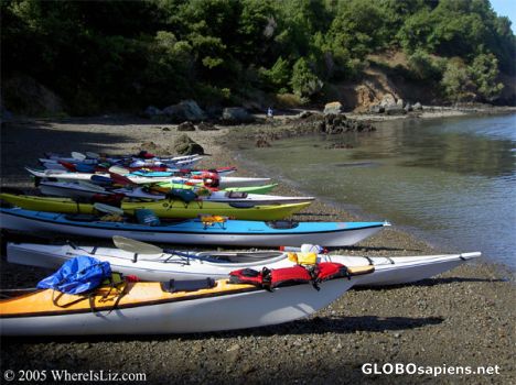 Postcard Kayaks on the Beach, Angel Island
