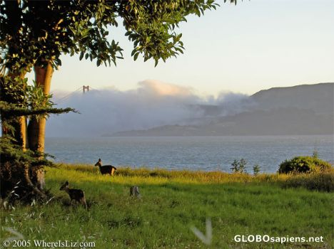 Postcard Sunset Fog, Angel Island