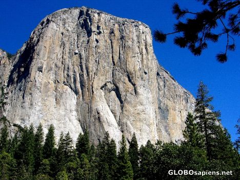 Postcard Yosemite N.P. - El Capitan