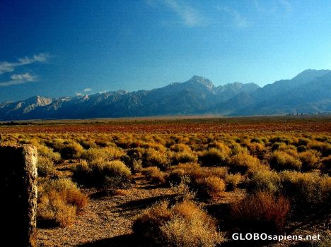 Postcard Southern Sierra Nevada - Mt. Whitney Region
