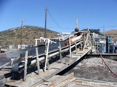 Postcard Tamales Oyster Farm