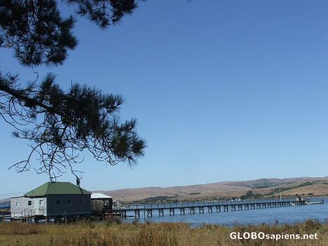 Postcard Point Reyes