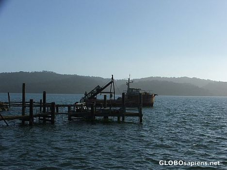 Postcard Tamales Bay